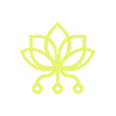 生成API