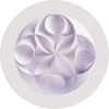 Watsonx.ai