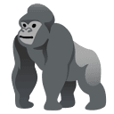 Gorilla投研