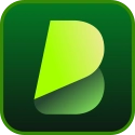 BlipCut翻译