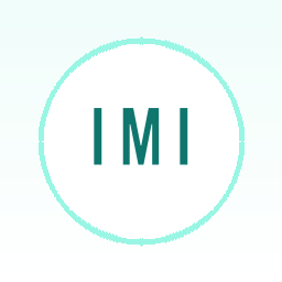 IMI提示词
